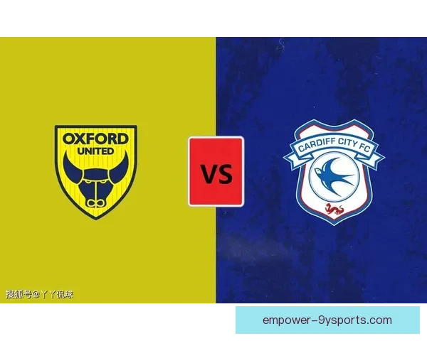 卡迪夫城足球俱乐部的辉煌历程与未来发展展望